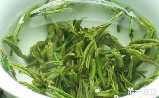 攒林茶有什么养生保健之功效？