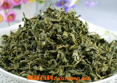 罗布麻茶的功效与作用罗布麻茶的食用禁忌