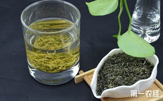 好茶就一定比粗茶的功效好吗？什么样的茶更有助于延年益寿？