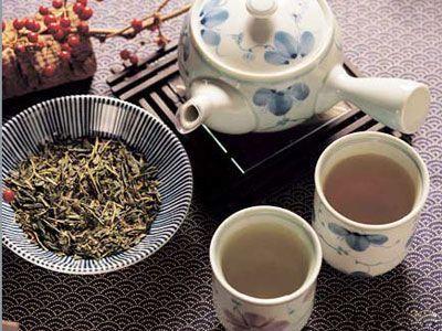 杜仲茶的养生保健功效和饮用方法