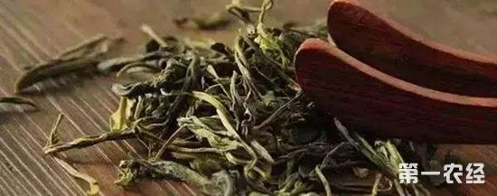 顾渚紫茶有什么功效作用？
