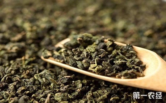 茶叶具有哪些防病治病功效？茶叶治病