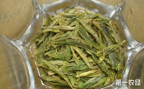 老竹大方茶的功效与作用有什么特殊之处？