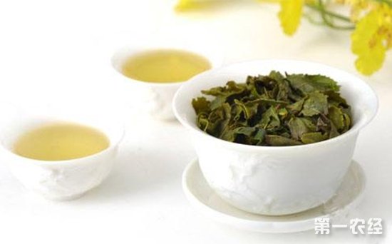安溪色种茶“黄金桂”的功效与作用