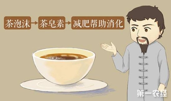 茶叶中“茶皂素”的功效与作用