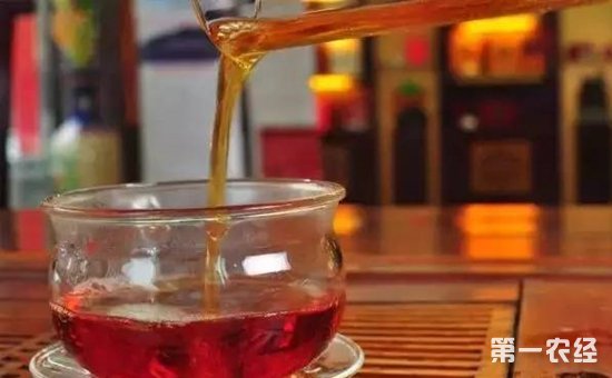 茶叶中有哪些主要物质？茶黄素有什么功效？