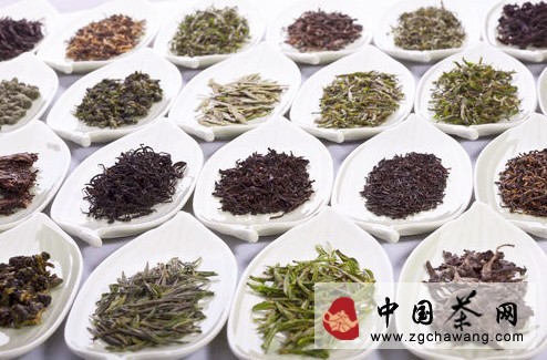 71种茶叶的的不同养生功效