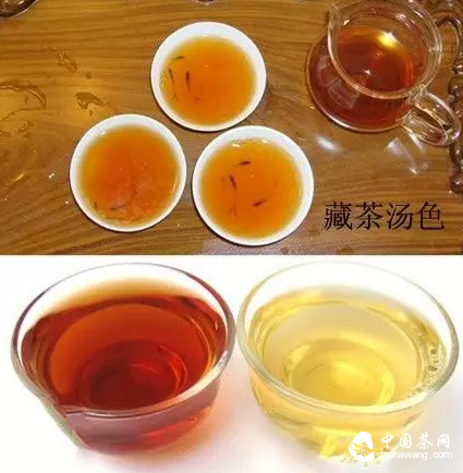 藏茶有益于健康吗？