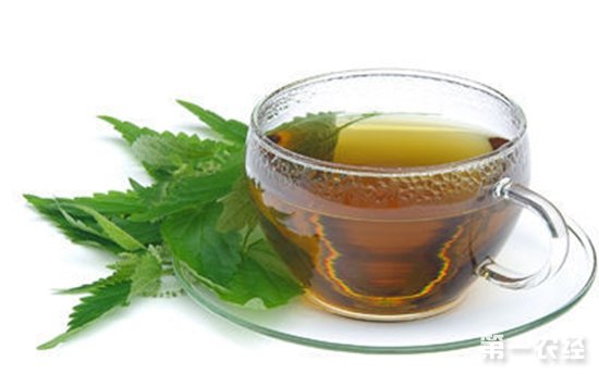 减肥茶：夏季可以轻松消脂减肥的八种茶