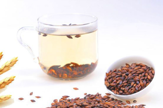 经常饮用大麦茶真的能减肥吗