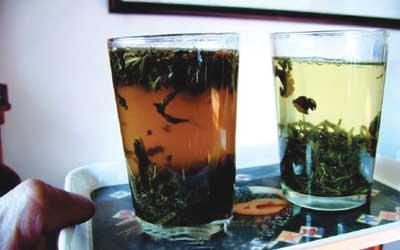普洱夏茶为何被称为“垃圾茶”