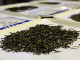 普洱夏茶为何被称为“垃圾茶”