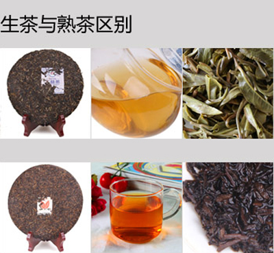 普洱生茶和普洱熟茶的区别，生茶好还是熟茶好