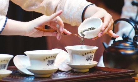 黑茶新品:臻溪黑茶活力饮上市受青睐