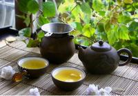 广东主要产什么茶，这些茶属于什么品种