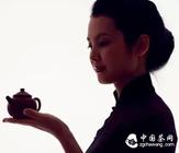 中国的茶具文化（供不同人群学习鉴赏）