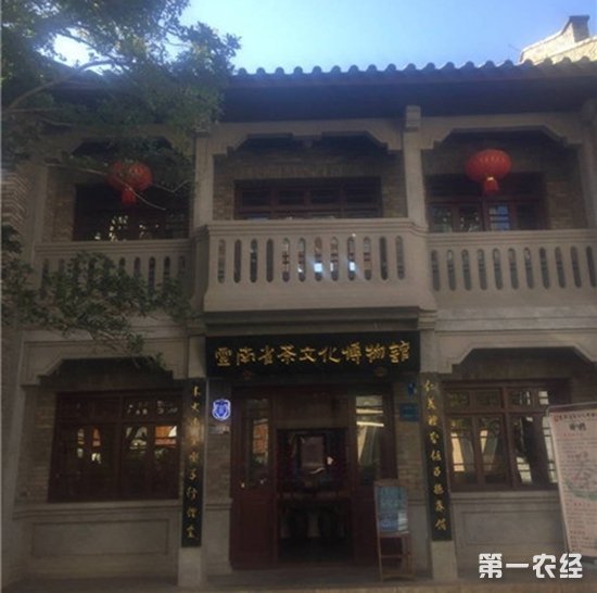 多家媒体探秘云南省茶文化博物馆