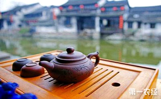 茶文化：广东潮汕茶文化介绍