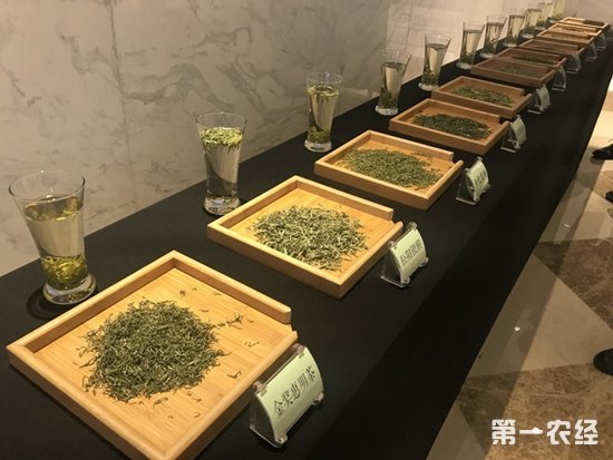 2017世界浙商大会茶文化论坛在杭州西子湖畔召开