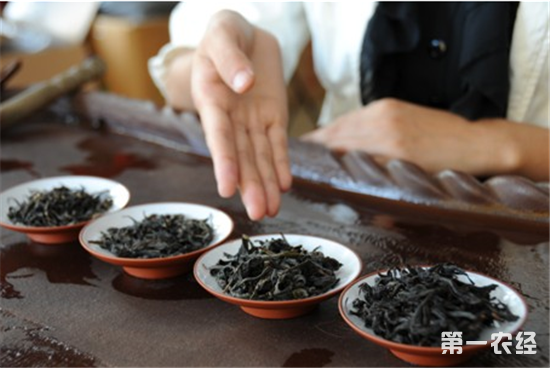 中原茶文化：待客讲礼仪里的沏茶讲究