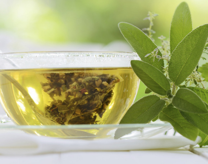 绿茶保存需要注意的“五大禁忌”！