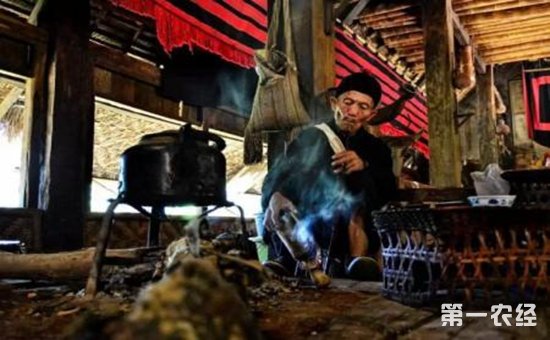 少数民族茶文化：佤族民俗与喝茶种茶的传统
