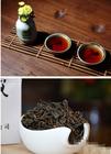 梧州六堡茶，一杯蕴含着浓厚文化的茶