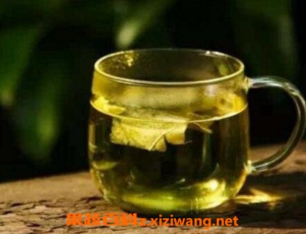自制冬瓜荷叶茶的做法喝冬瓜荷叶茶的禁忌