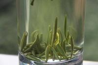 一起來學茶知識之關于金山翠芽的發展
