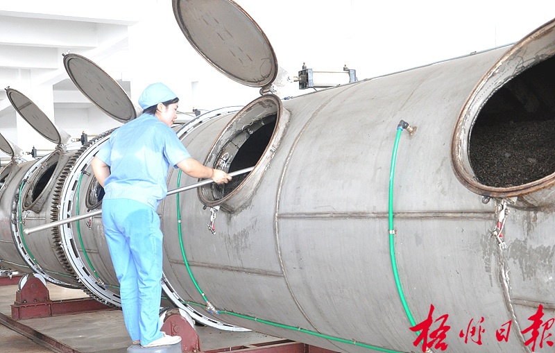 广西梧州：自动化发酵六堡茶降成本提质量