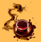 六堡茶的养生原理及适用人群