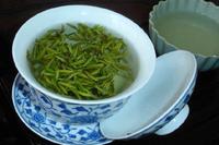 午子仙毫的产地是哪里午子仙毫被称为“茶中皇后”