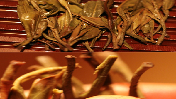 一些可作为区分台地茶与古树茶的方法