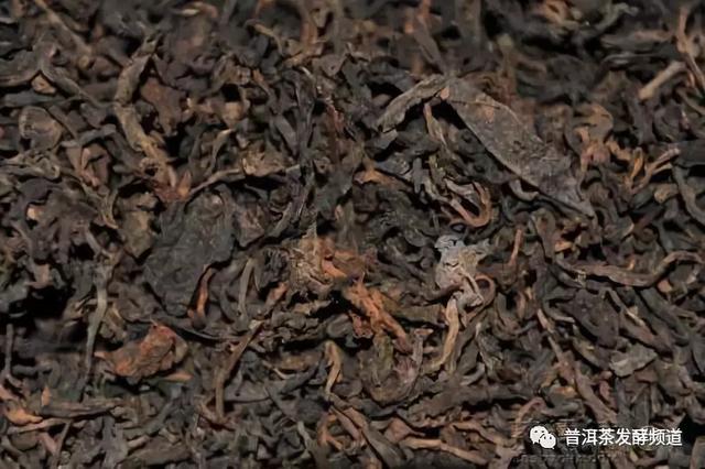 熟茶“焦糖香”的形成缘由？