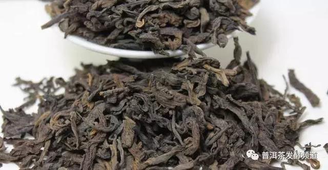 熟茶“焦糖香”的形成缘由？