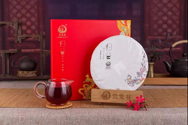 云元谷每日熟茶丨春茶上市，为什么还要喝熟茶？