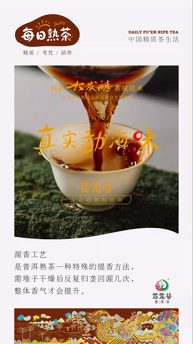 云元谷每日熟茶丨“大发酵”之【熟茶渥香工艺】