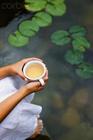 茶言茶语“我爱着的茶”