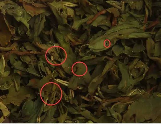 如何通过叶底辨别茶叶的品质