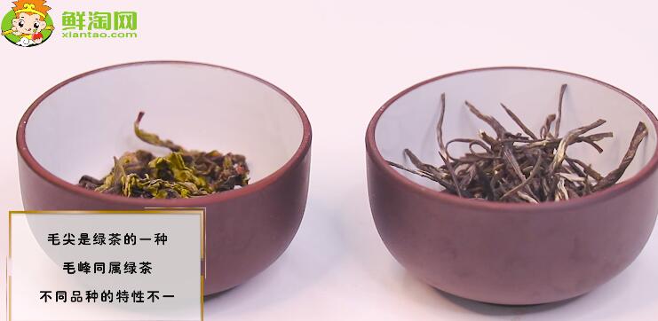 绿茶和毛尖茶叶的区别