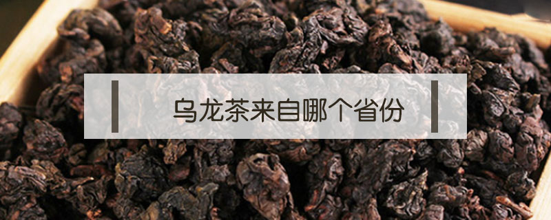 乌龙茶来自哪个省份