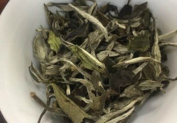 白茶品质特征及其分类