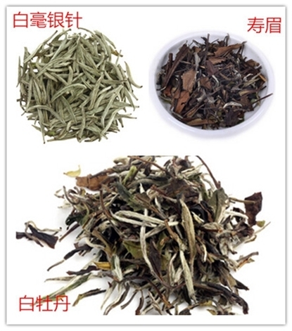 福鼎白茶多少钱一斤，市场上怎么卖白茶