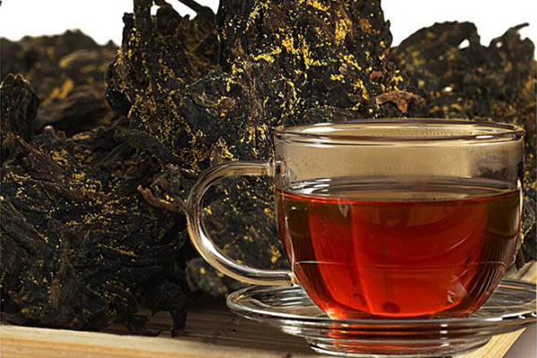 金花茯砖茶的功效与作用有哪些？