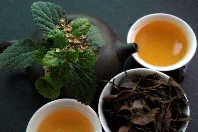 东方美人茶是什么茶？