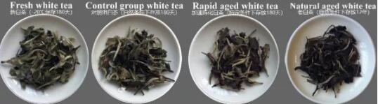 将“新白茶”快速变成“老白茶”的方法