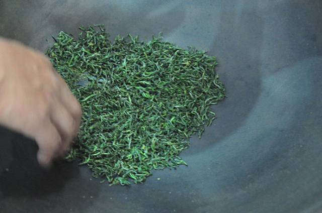 绿茶怎么制作