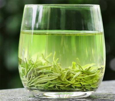 邓村绿茶的采摘标准