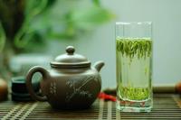 有机绿茶怎么喝