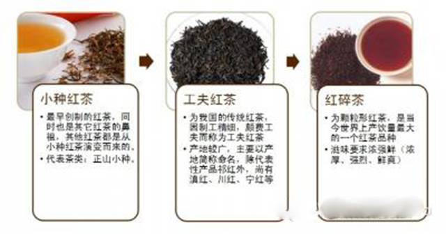 红茶怎么分类
